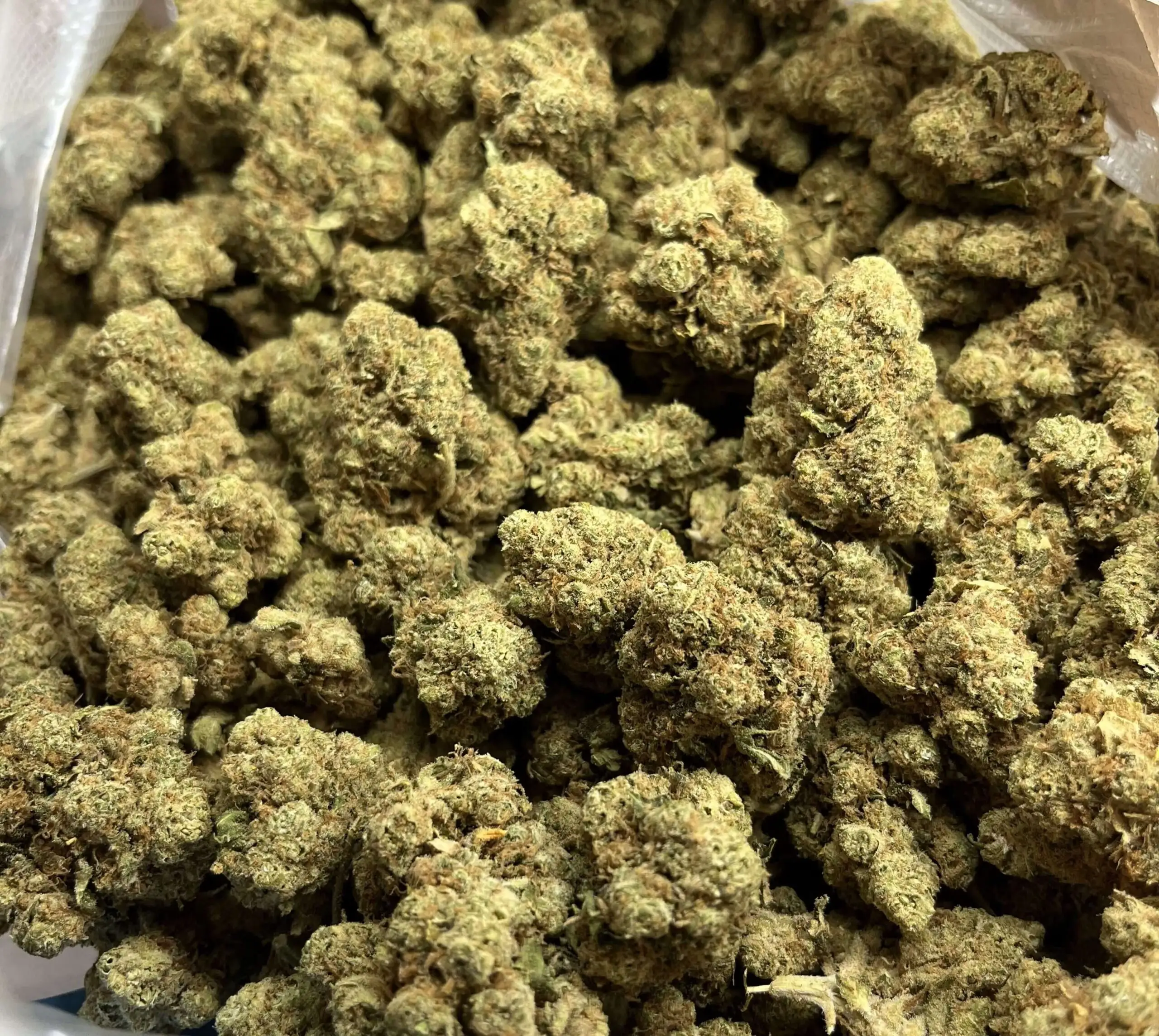 big daddy Big Daddy hidroponikus kender virágok