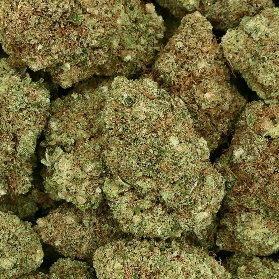 BRUCE BANNER - FIORE - CBD HYDRO