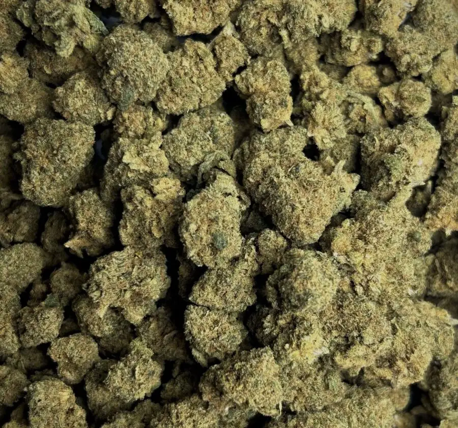 bruce banner fleurs hydroponique