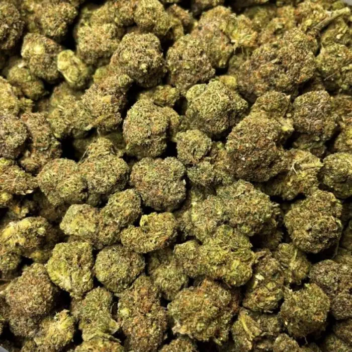 Cherry Pie fleurs de CBD hydroponique Cherry Pie hydrocultuurbloemen