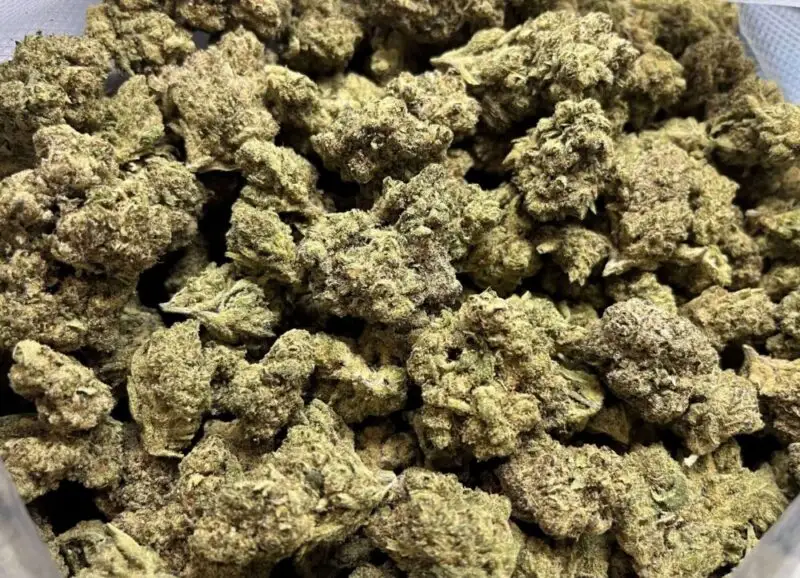 Cotton Candy Kush Algodón Candy Kush flores hidropónicas