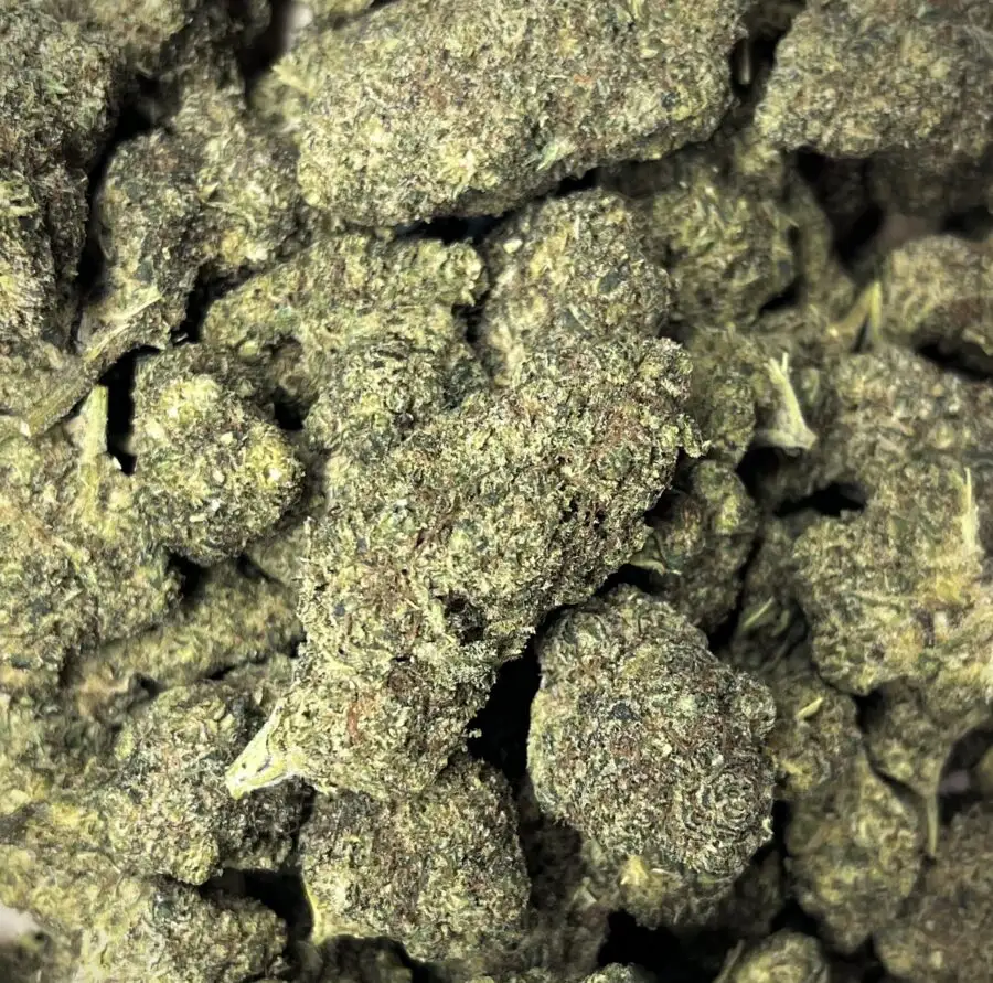 420 DROOM THCP