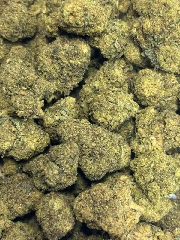 Alien Haze H3CBN flowers