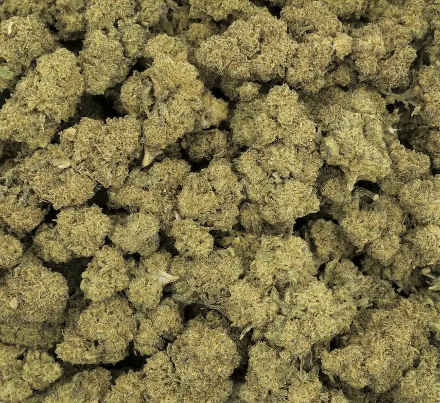 Durban Poison 10 OH HHC