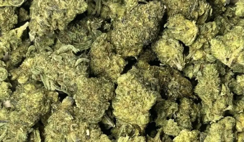 V1 Fleurs H4CBD Fleurs de H4CBD V1