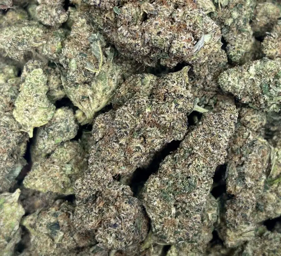 Jungle Haze THCP