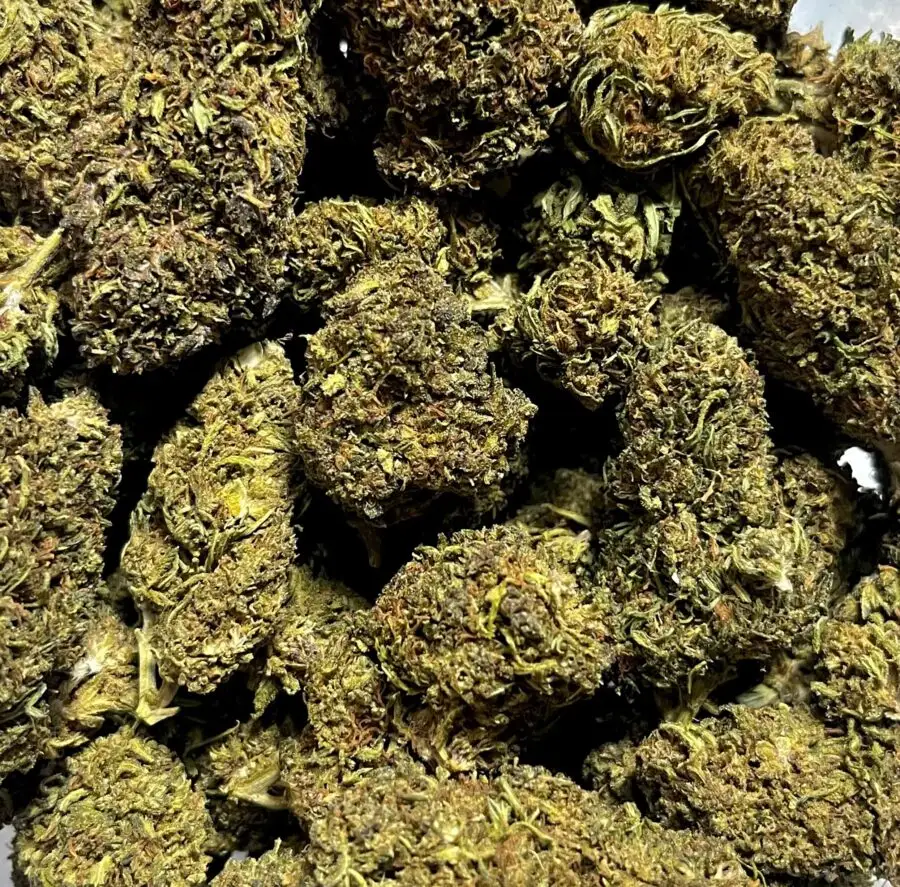 black cherry THCP