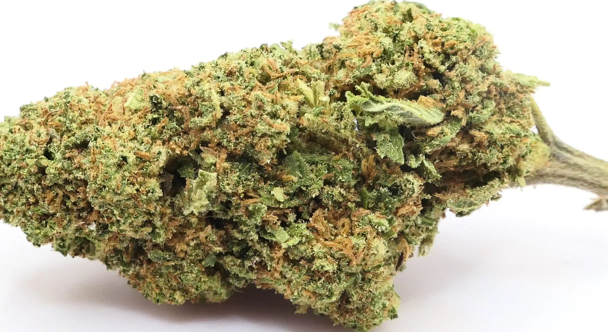 CANDY OG CANDY OG FLEUR DE CBD