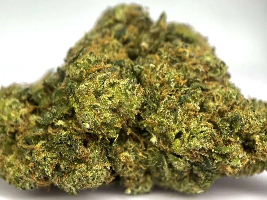 Death Star fleur THCPO