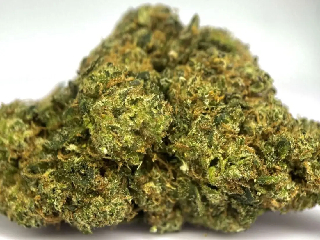 Death Star Death Star THCPO-Blume