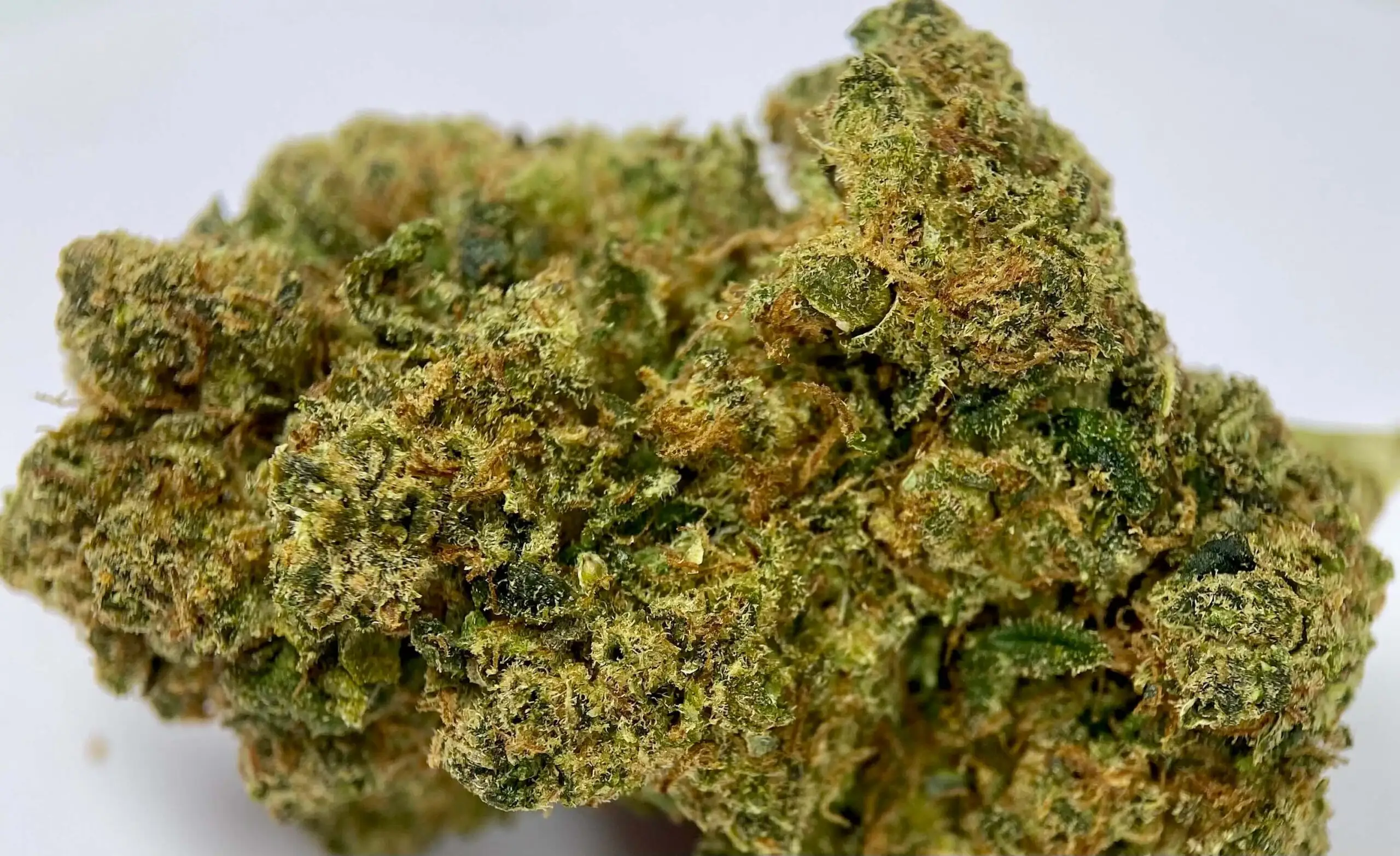 Amnesia crunch Flor HHCPO