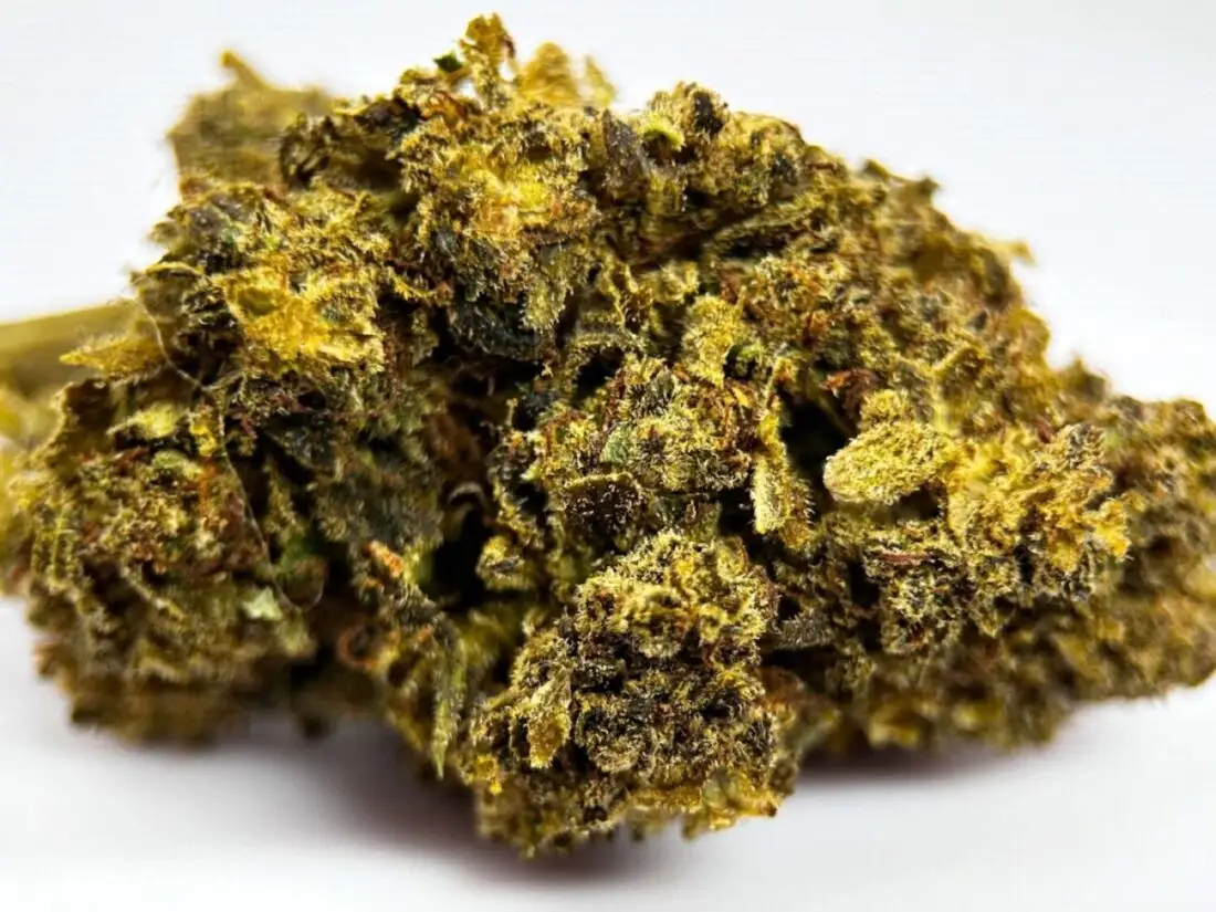 33 splitter HHCPO 33 splitter HHCPO