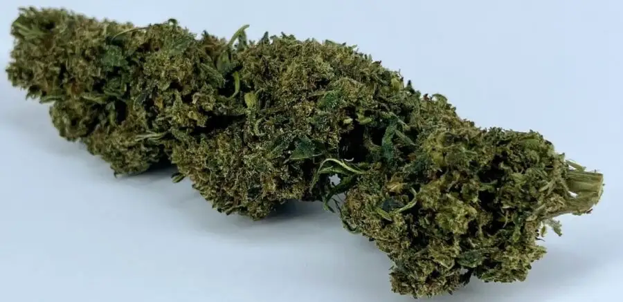 CINEX thcp flower