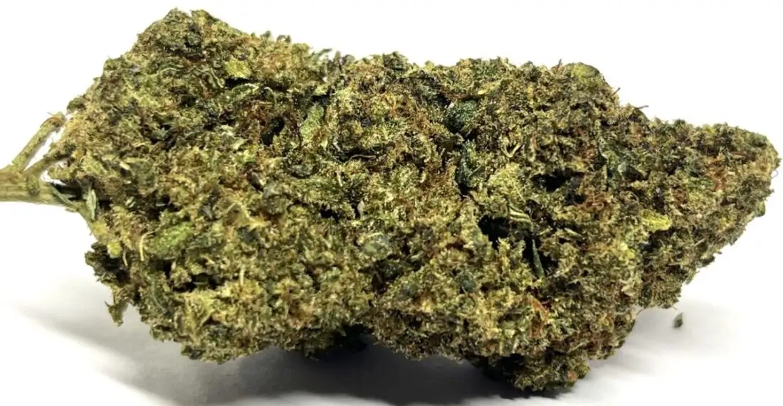 Gorilla King THCV Flower