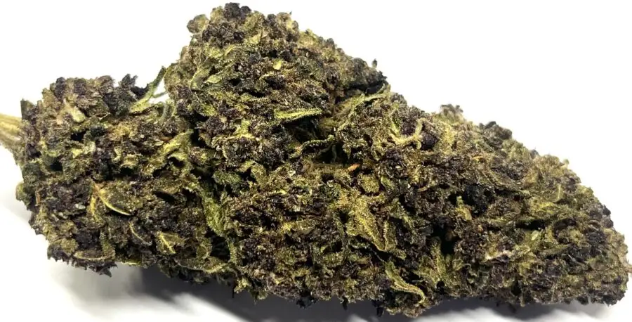 rainbow chip fleur THCV