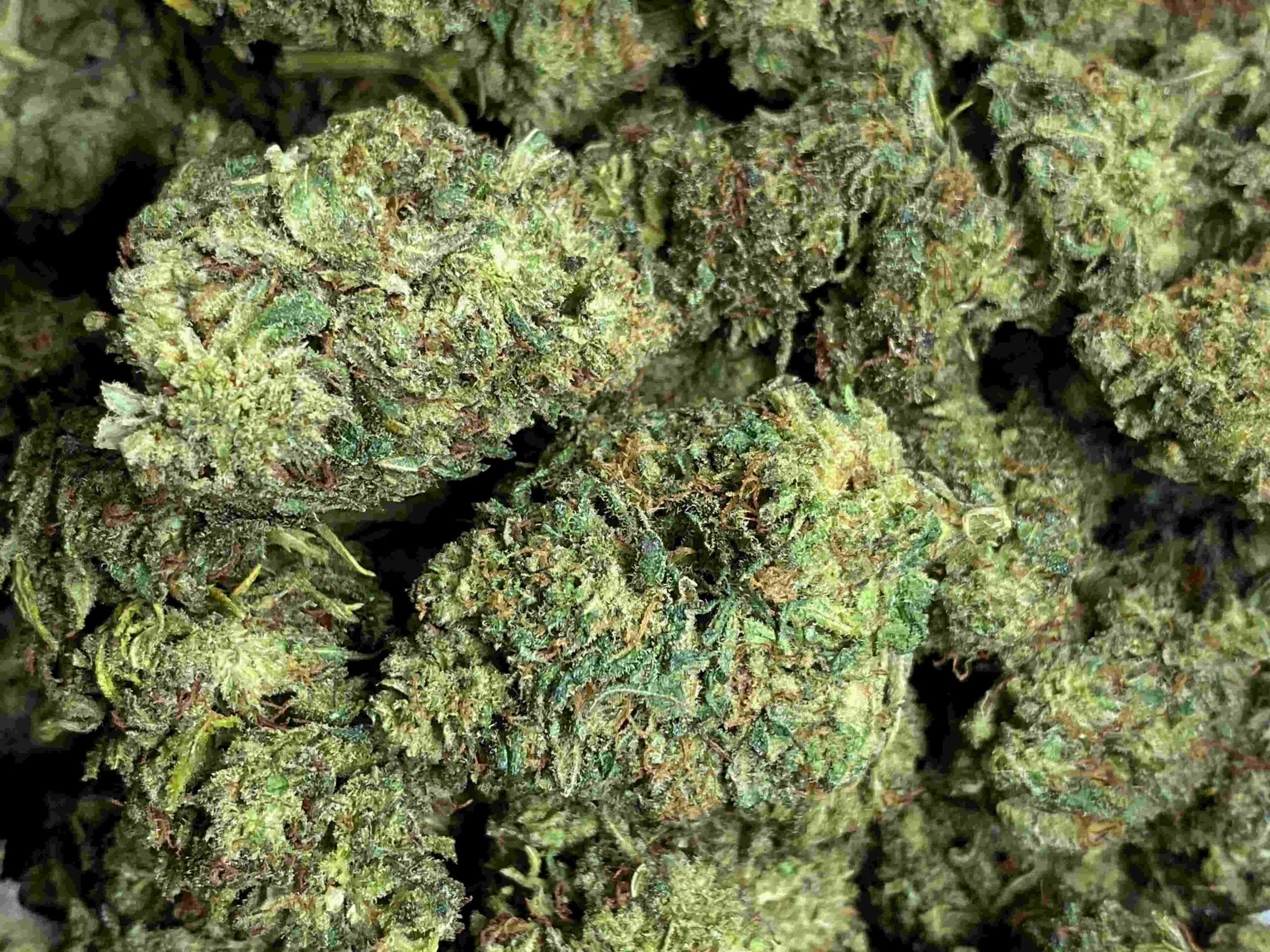 strong buddha kush thcp virág