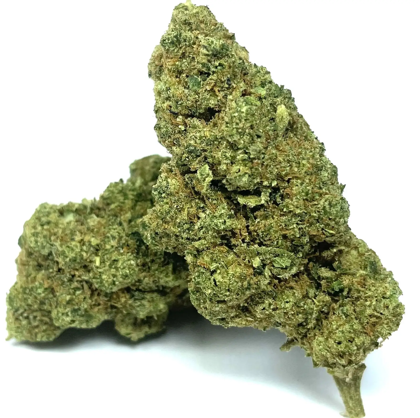 jenny kush thcjd jenny kush thcjd