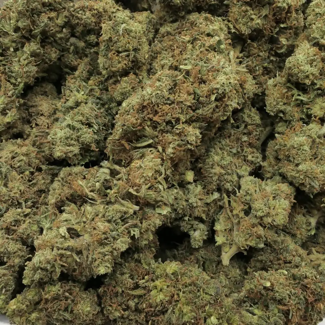 BLUE DREAM - FLEUR mix 10 oh hhc BLUE DREAM - BLOWER mix 10 oh hhc