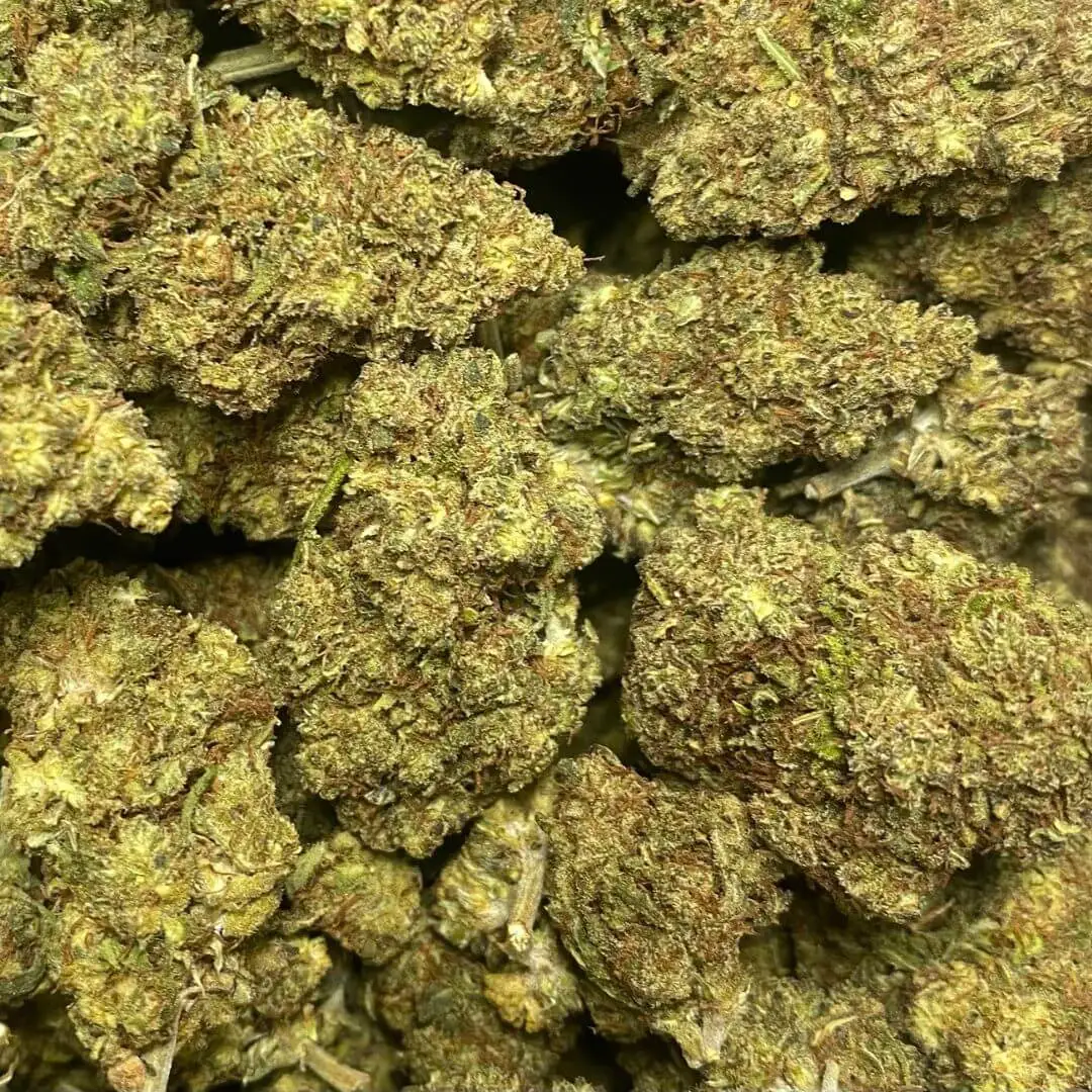 PINK PANTHER PINK PANTHER