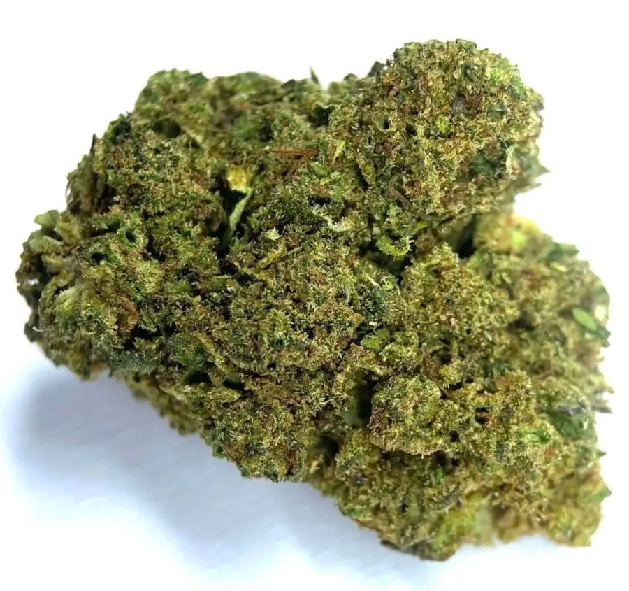 papaya punch