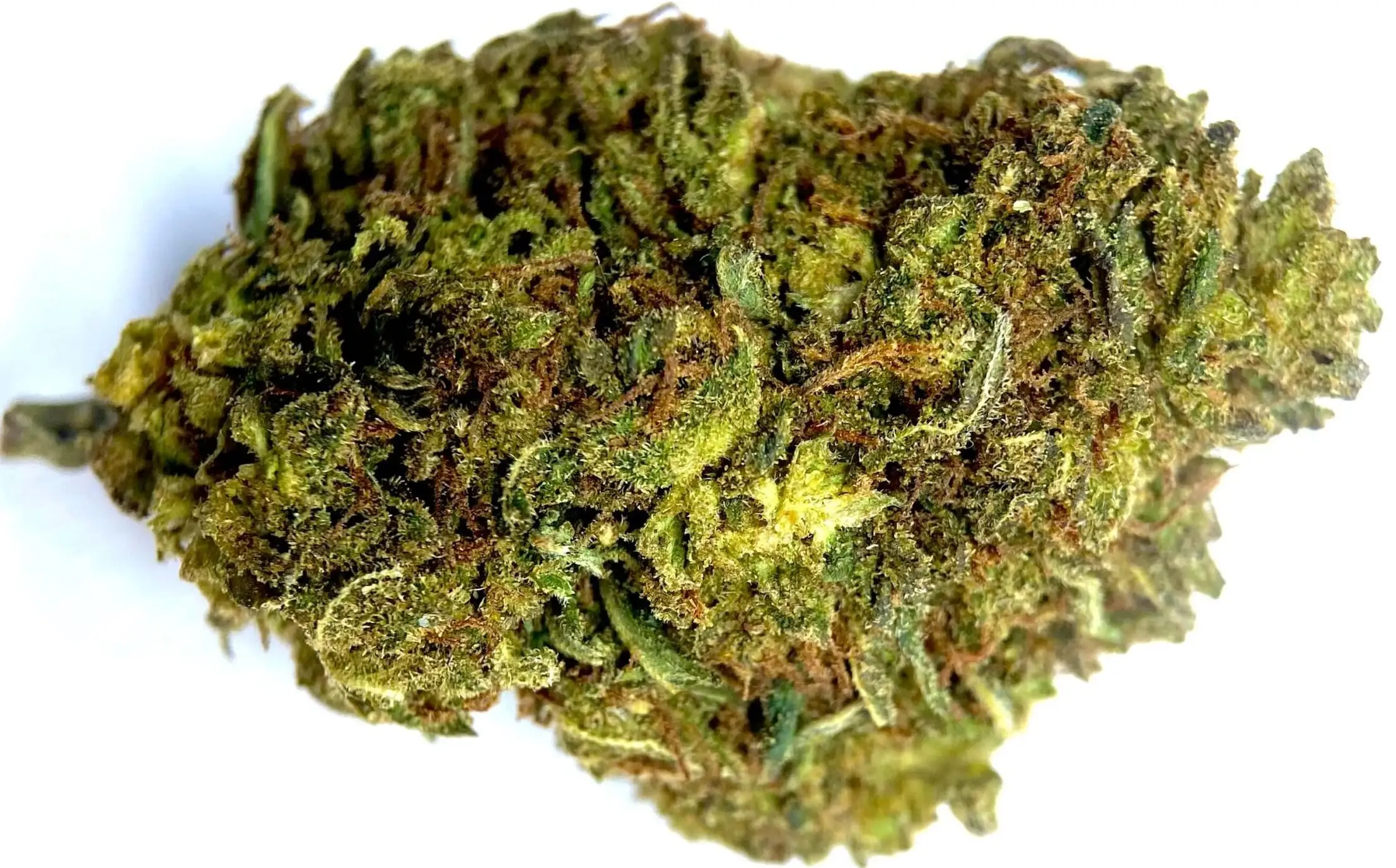 SPICY MINT spicy mint