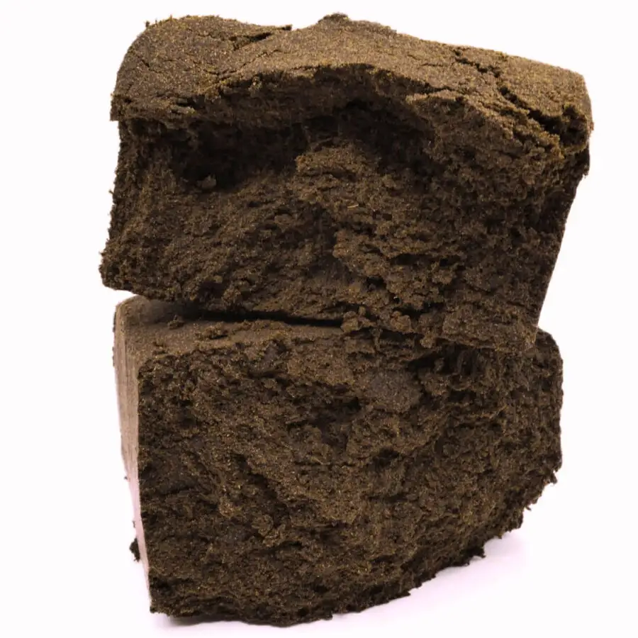 KÓSER KUSH HASH - THCN GYANTA