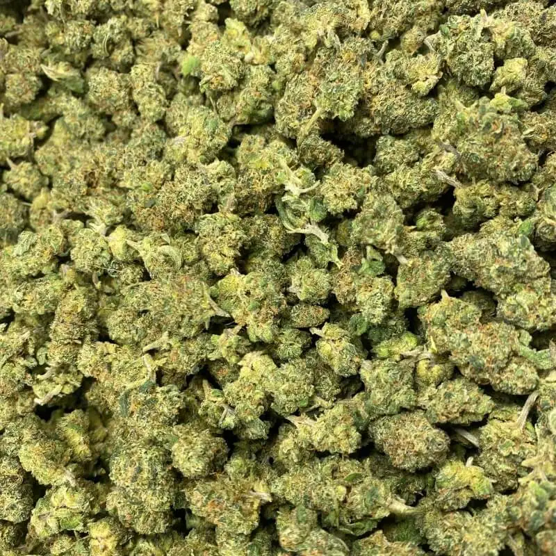 small brote cannatónico