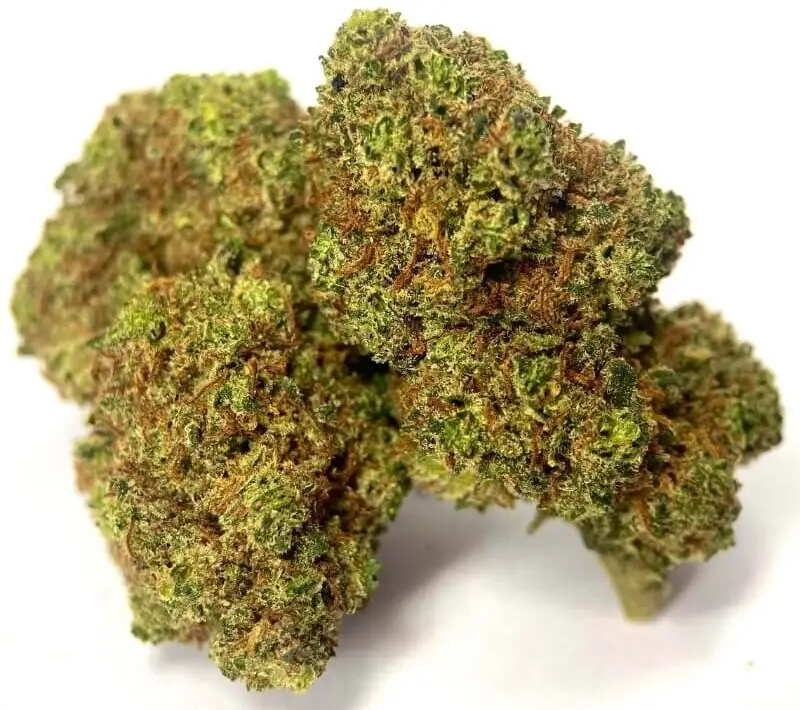 WILD STRAW THCP