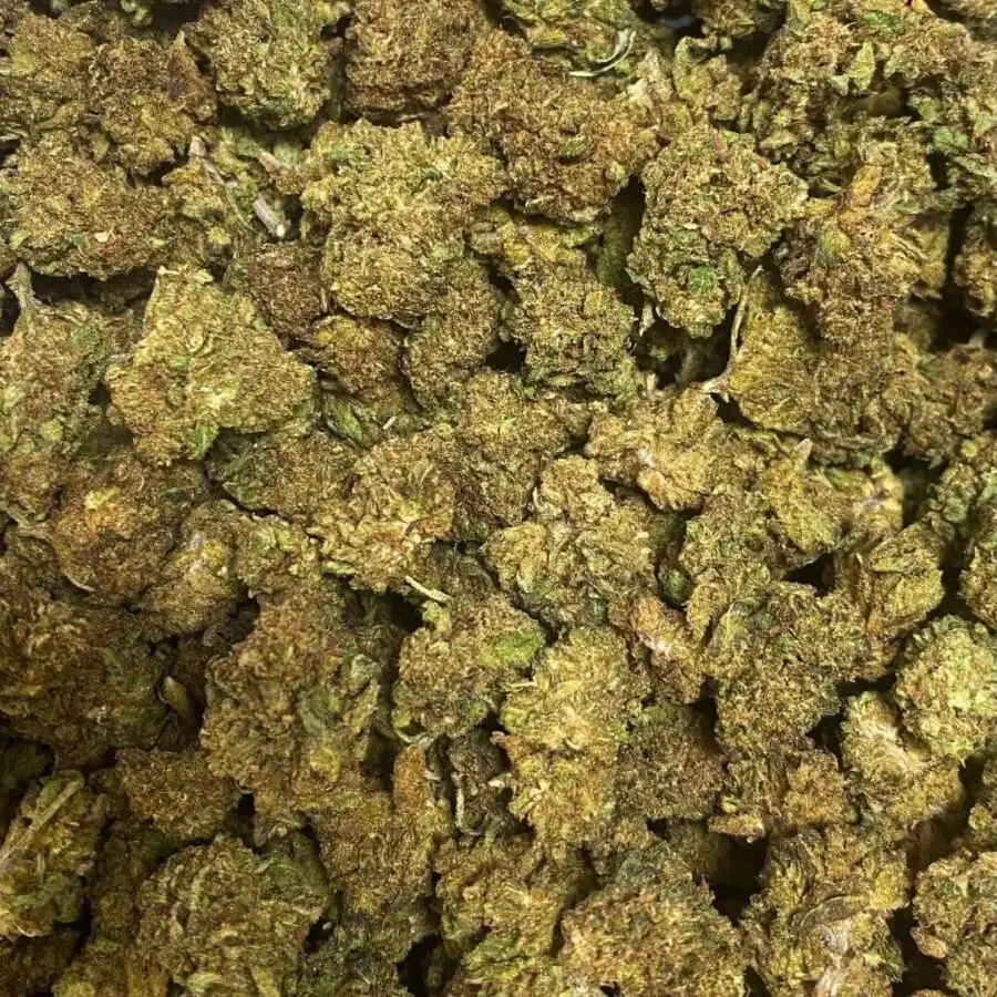 small meester kush