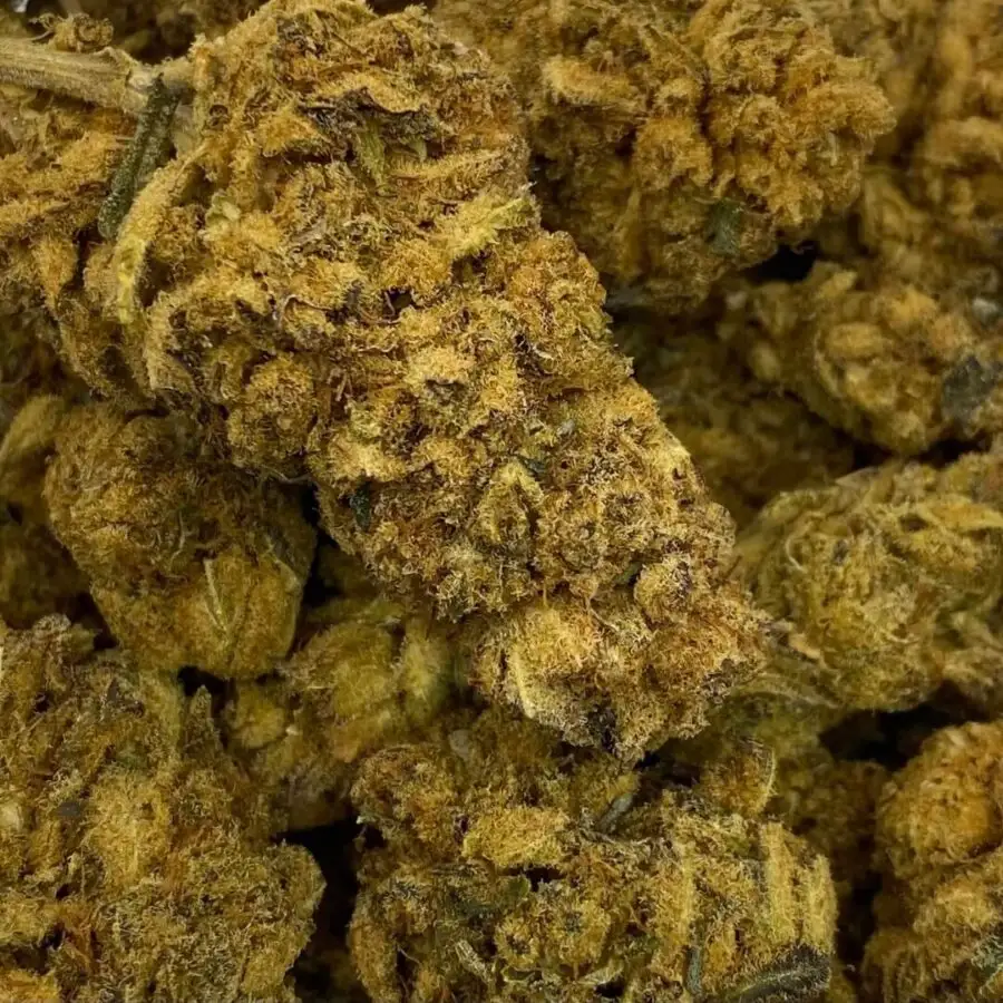 mexican haze