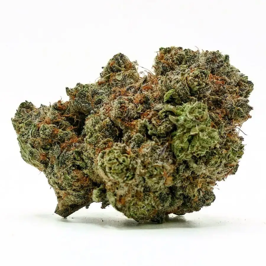 HYDROPONISCHE CBD-BLÜTE SHERBET RAINBOW