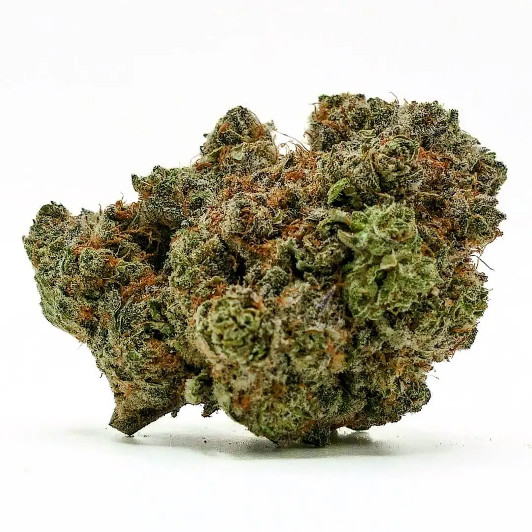 SHERBET RAINBOW HYDROPONISCHE CBD-BLÜTE SHERBET RAINBOW