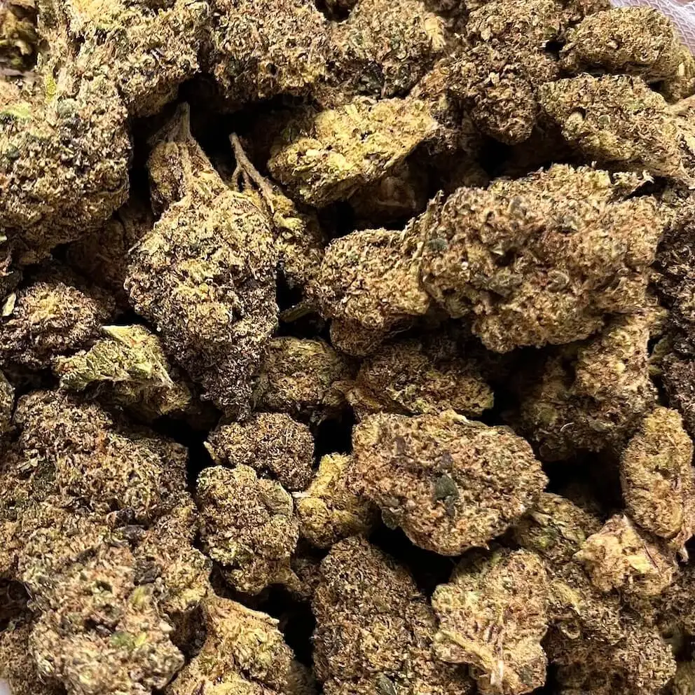 Jungle fruit jungle fruit flores de cbdp