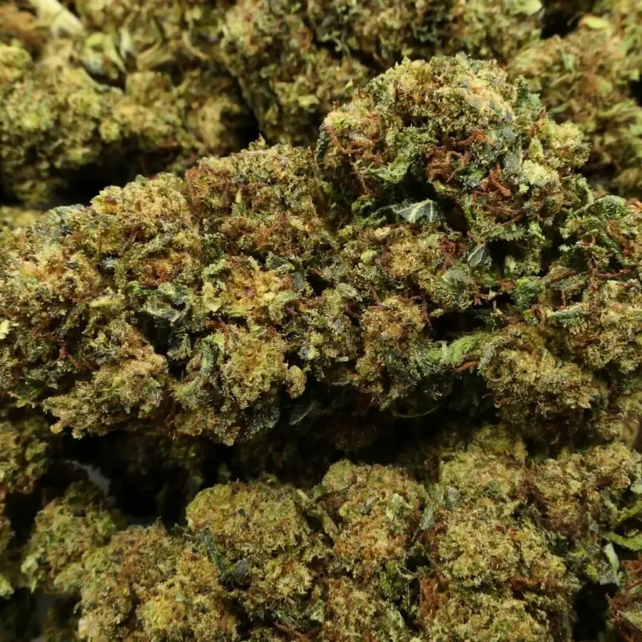 og god father - flor - 10 oh