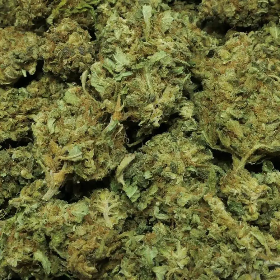 LEMON HAZE - CBD VIRÁG