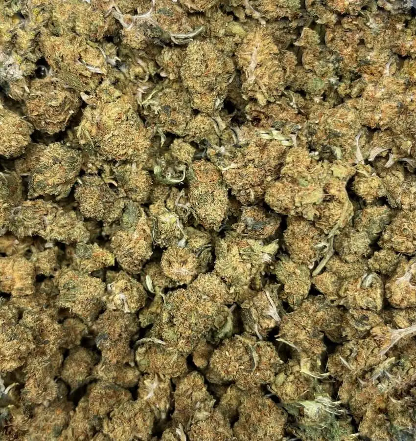 small bud goji og thm