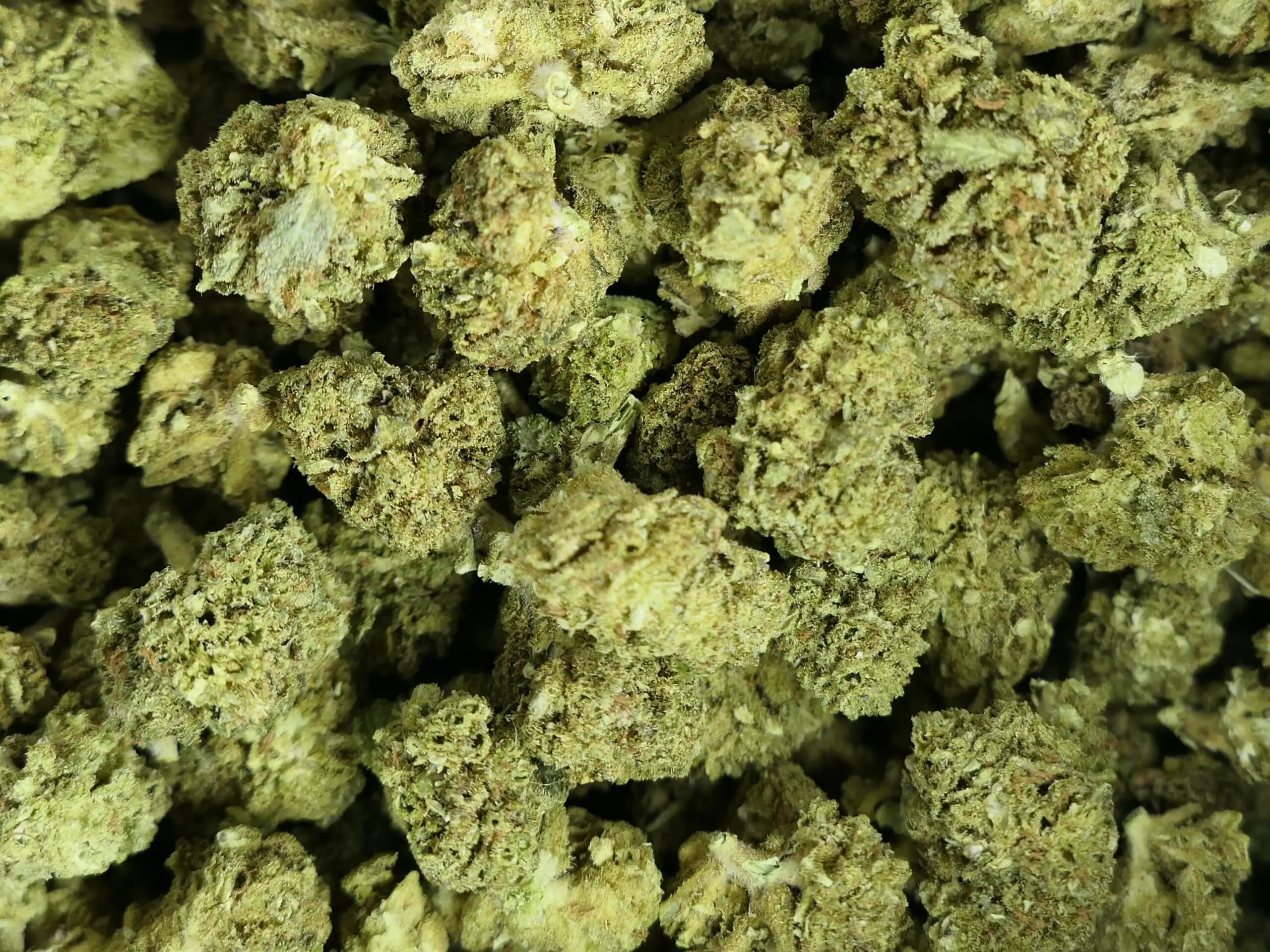 FROZEN INFERNO FLOR DE CBD PREMIUM