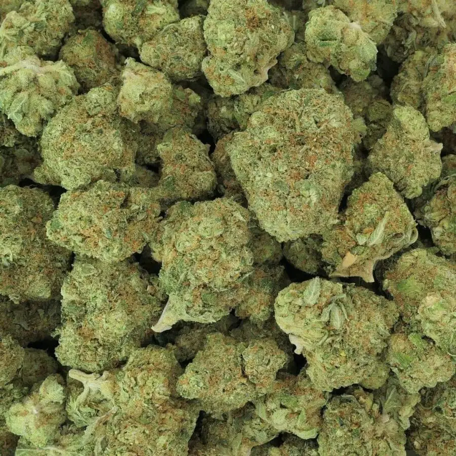 CALI 47 - FLOWER - HYDRO