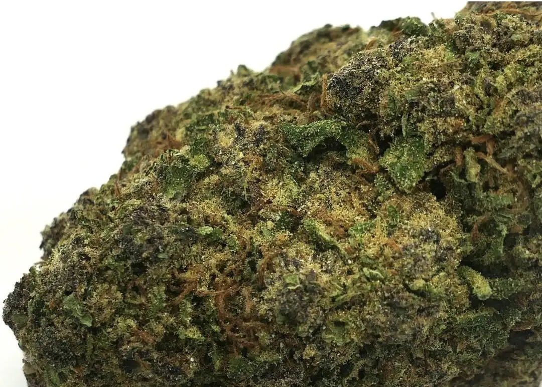 Flor de muscimol Purple star