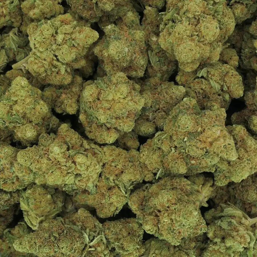 RS11 - FLEUR - HYDRO