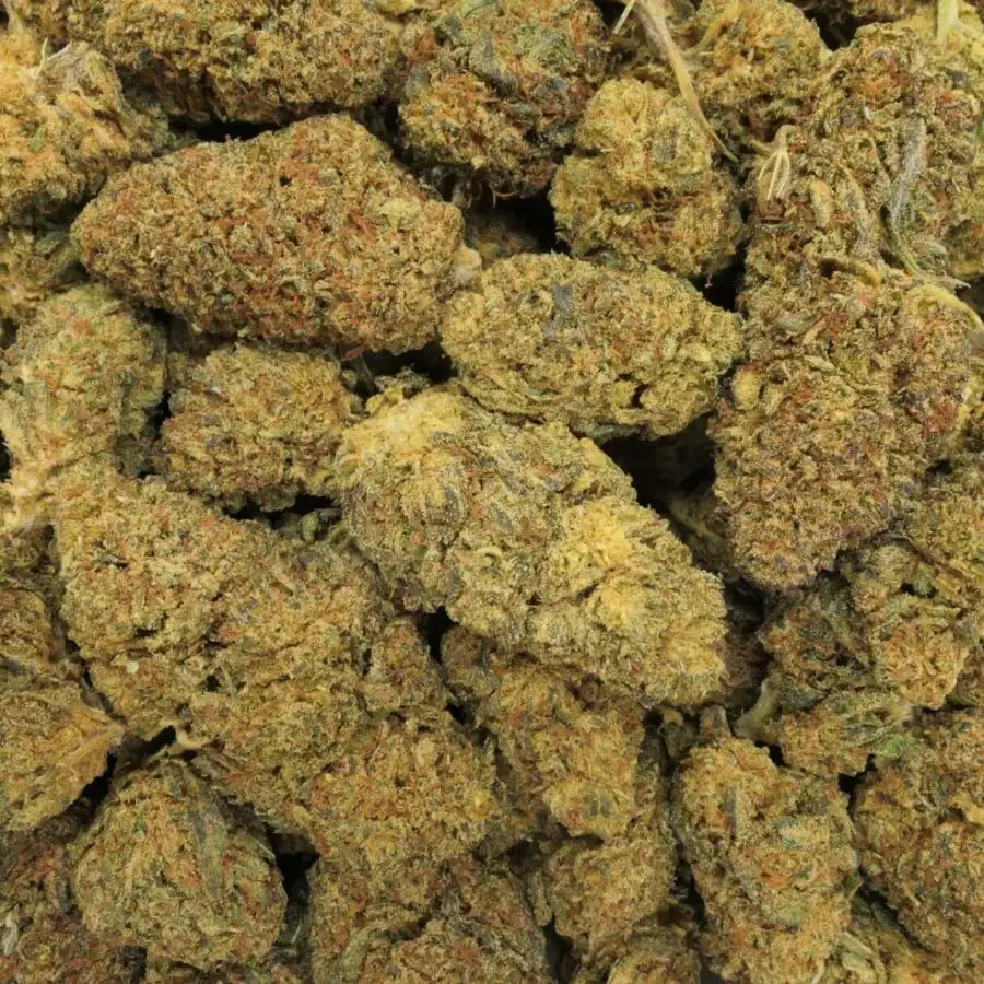 GORILA PUNCH - FLOR - 10 OH HHC