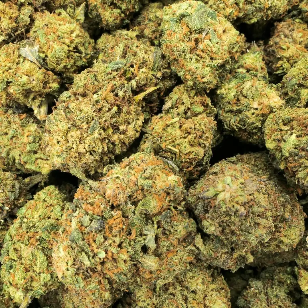 BLUE ZUSHI - FLOWER 10 OH HHC