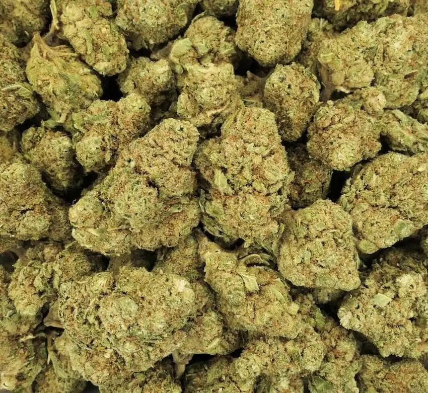 ak49 blume mix 10ohhhc