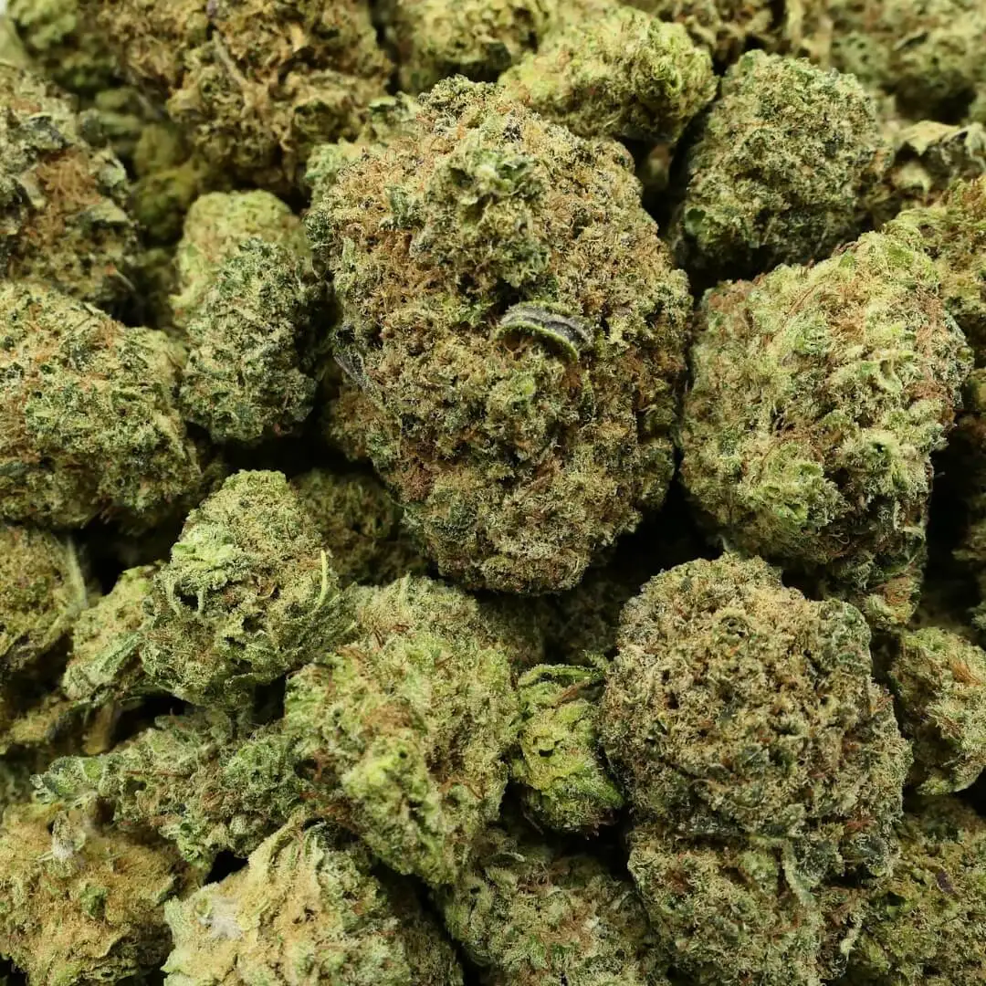 GREEN FINISHER - fleur 10 OH + MCPN (1) GROENE FINISHER - 10 OH bloem + MCPN (1)