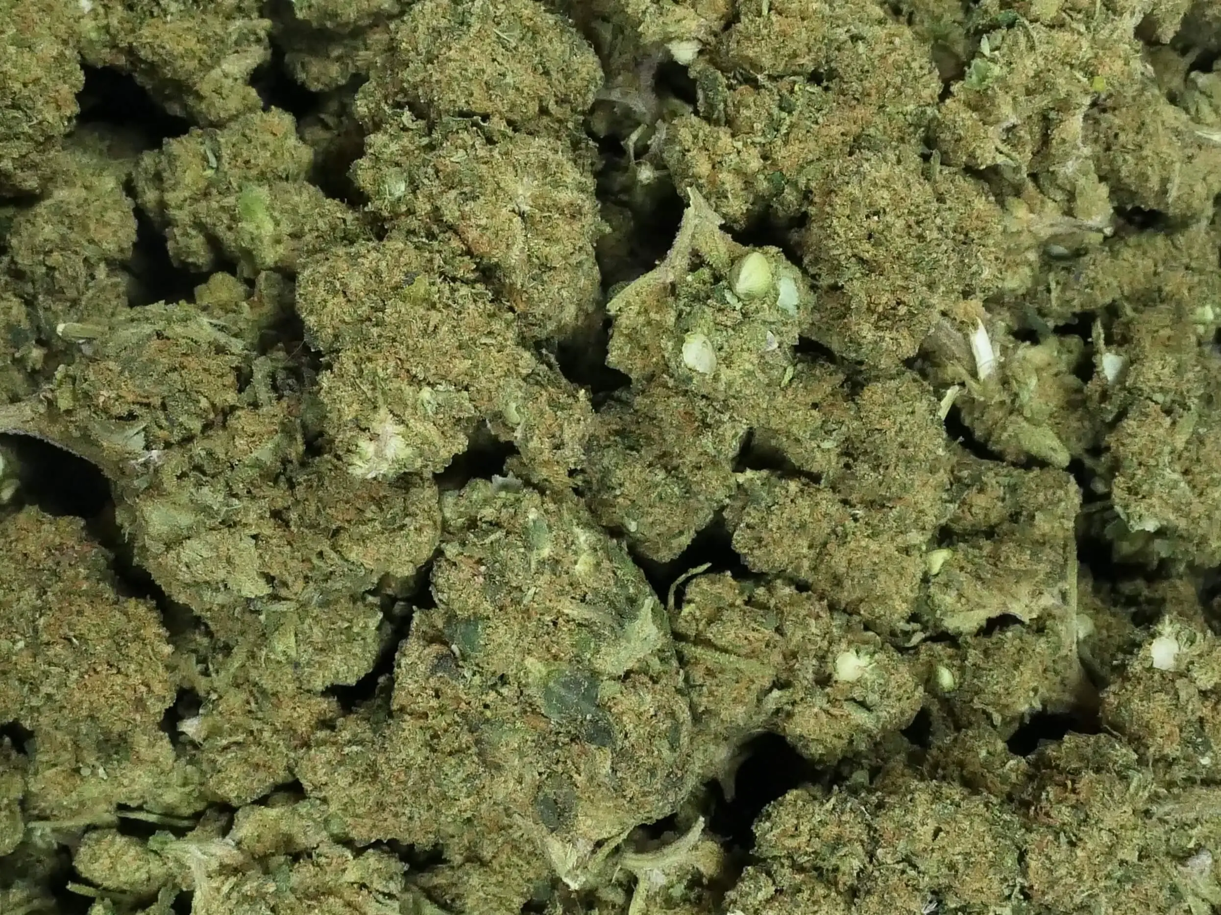 SEED WEED CBD FLOWER